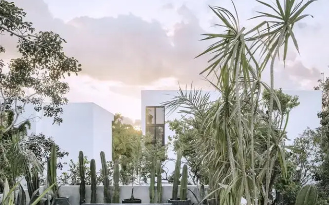Casa Aviv By Lockey