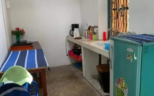 Jungle house