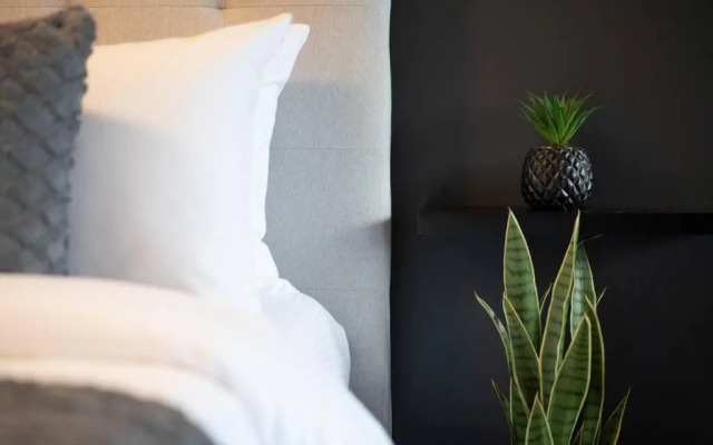 Studio LIV204 by Gestion ELITE