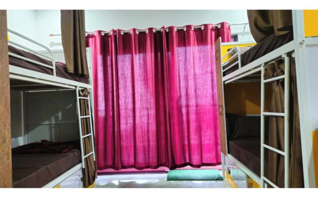 Camel S Backpackers Hostel