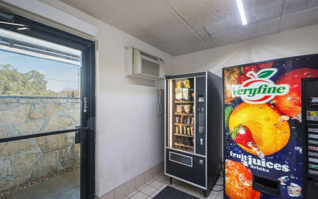 Red Roof Inn Tampa Busch