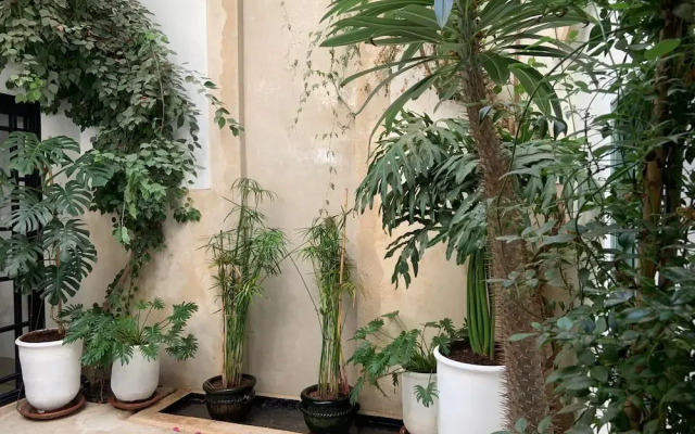 Petit Pacha Your ultimate escape