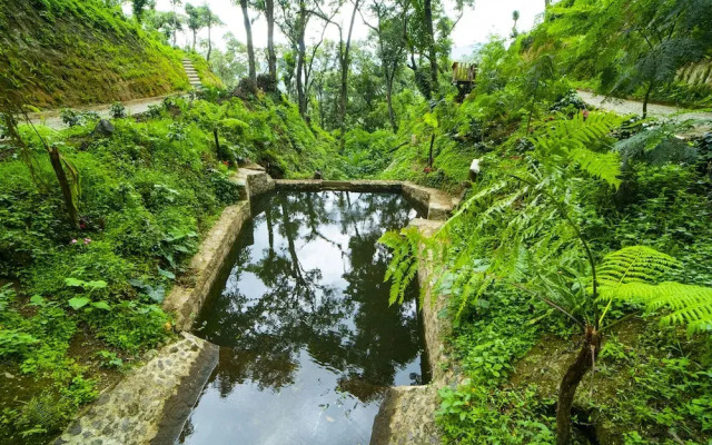 Finca Casa Blanca