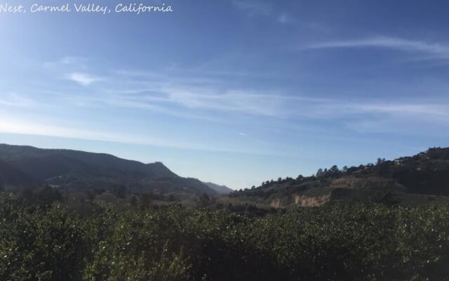 The Nest in Carmel Valley