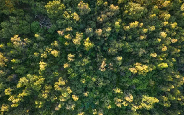 HANG LOOSE COTTAGE Hotel Resort 4 stelle Gizzeria Calabria