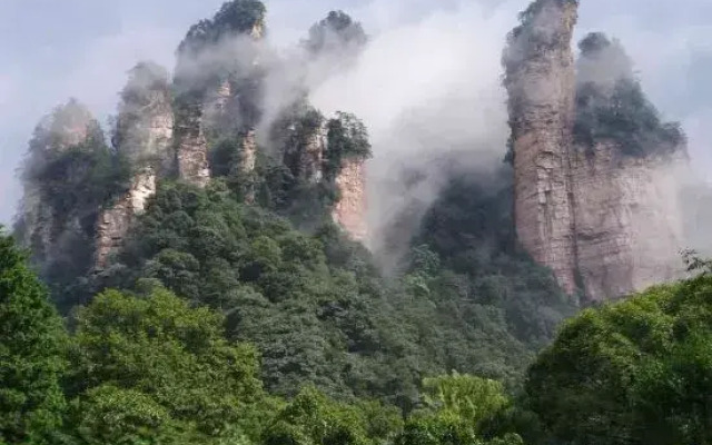 Caiyin Inn