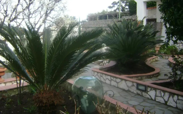 B&B Palazzo a Mare