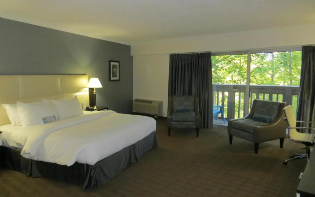Toronto Don Valley Hotel and Suites