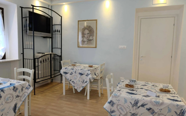 View of the vineyards