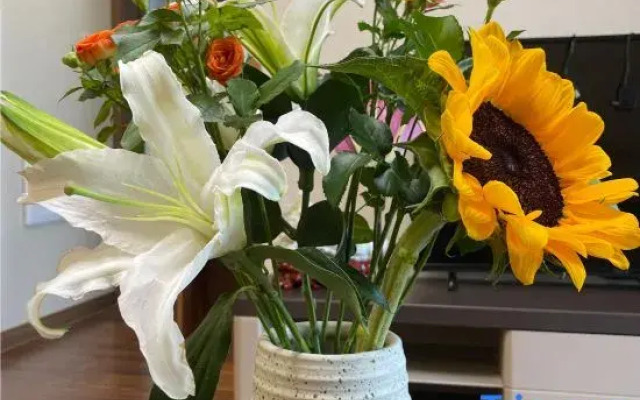 The yard under the mountain