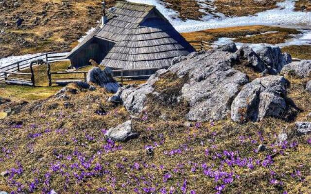 Chalet Košutnik Velika planina