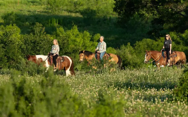 Wildcatter Ranch & Resort
