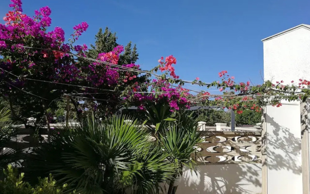 Casa Vista Mare