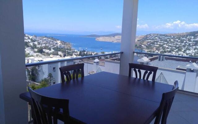 BO079 by Villaofsummer