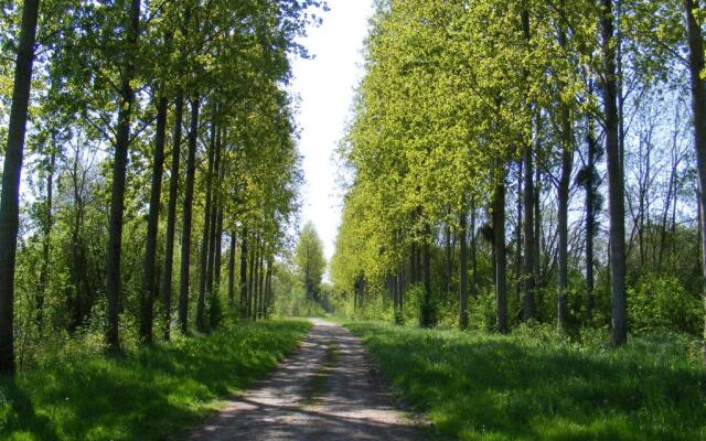 Chambres dHôtes Vignes et Loire