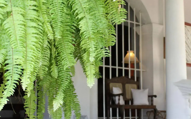 Nooit Gedacht Heritage Hotel-Original Dutch Governor's House