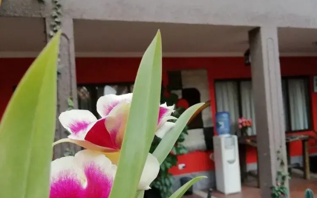 Hotel de las Culturas