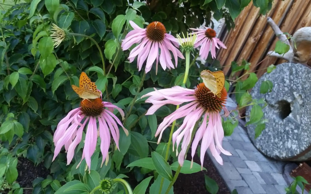 Ferienwohnung Bettina