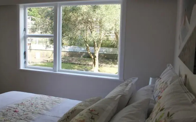 Olive Tree Bed & Breakfast