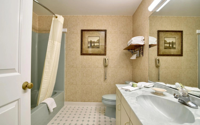 Roosevelt Inn and Suites Saratoga Springs