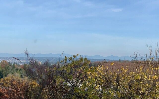 Arboretum View House