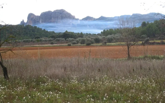 Lo Celler - Clot d'en Parral