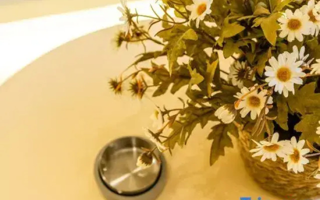 Youwan Sheye Boutique B&B