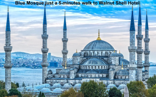 Walnut Shell Hotel