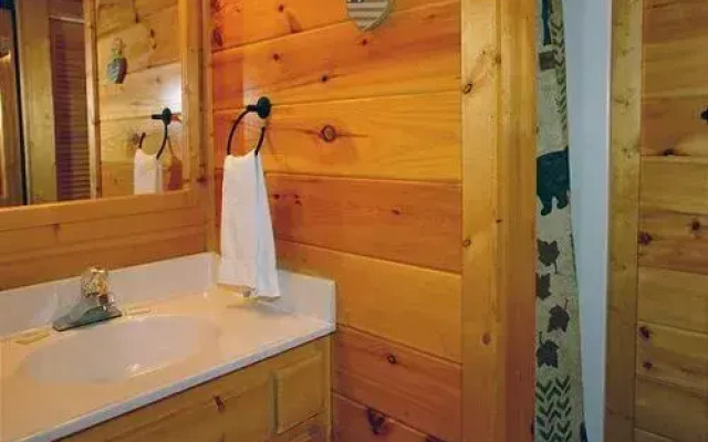 Buddy Bear 249 by Aunt Bug's Cabin Rentals