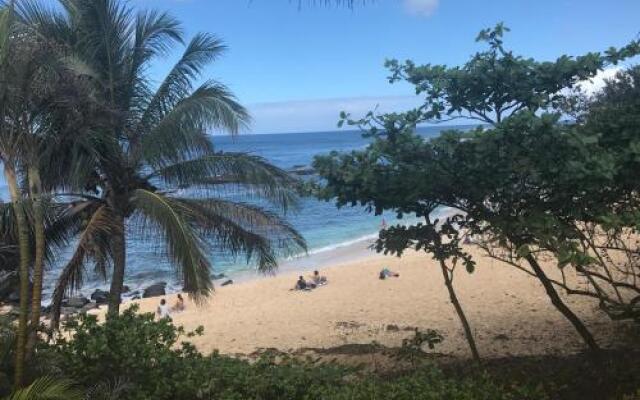 Backpackers Vacation Inn and Plantation Village