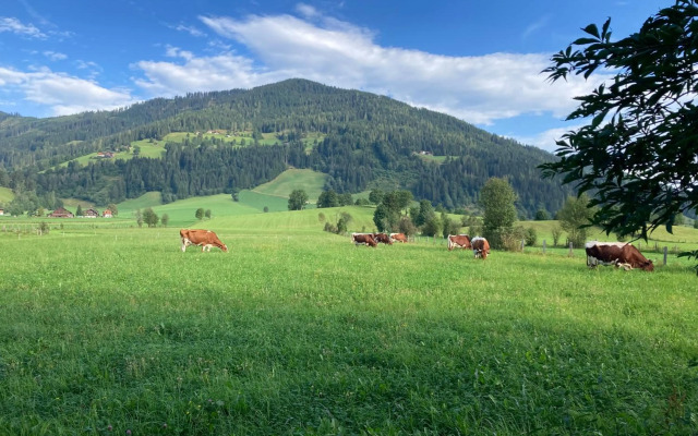 4 Elements Appartmenthaus Monarda