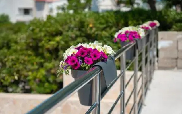Apartmani Andreja
