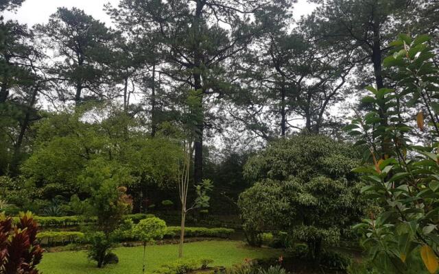 Jabbitos Baguio Transient House 2