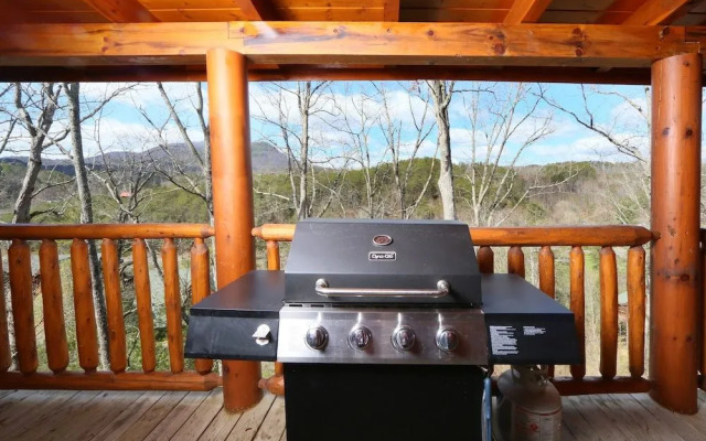 Wild Adventures - One Bedroom Cabin