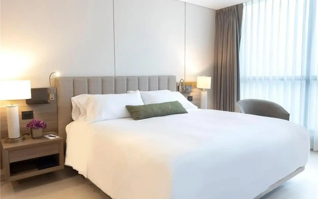 York Medellin, Curio Collection by Hilton