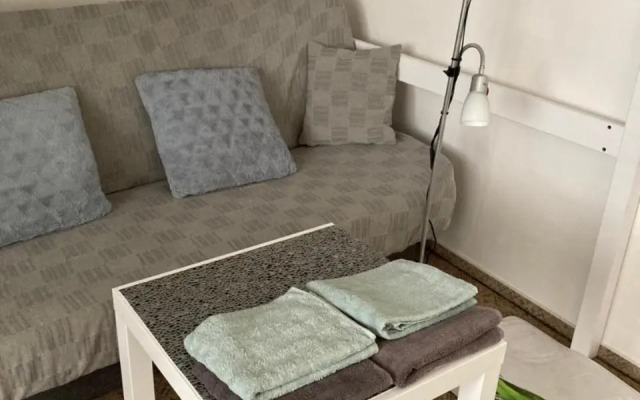 Tulip Apartment