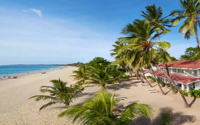 Trinco Blu by Cinnamon