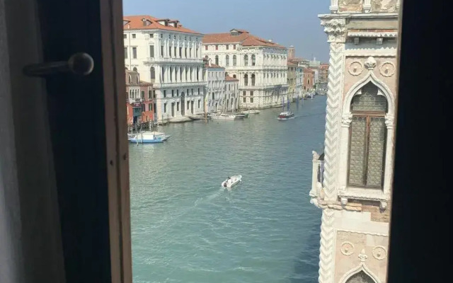 Pesaro Palace