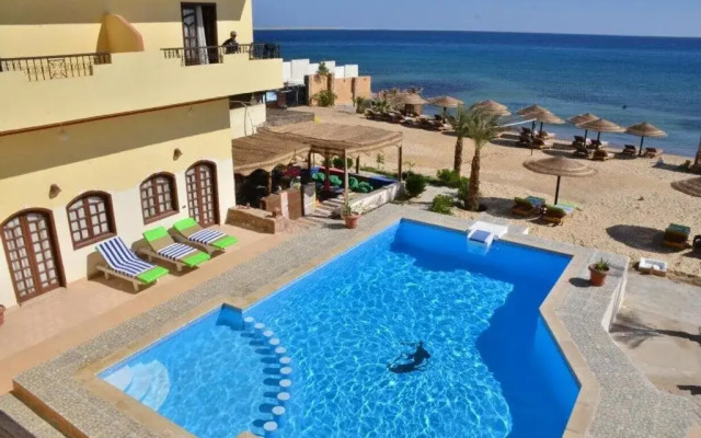 Dolphin Hotel Safaga