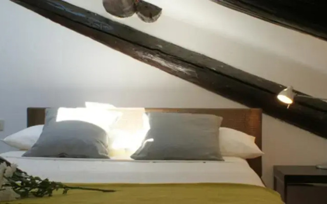 Friendly Rentals Monti