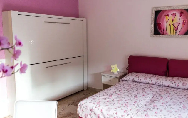 B&B Contemoro