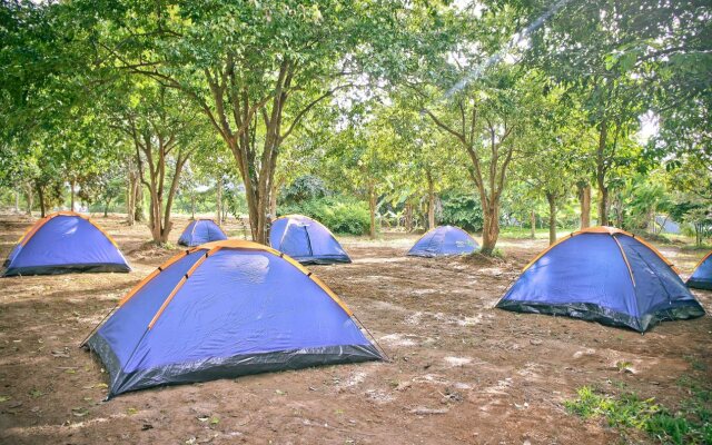 Alicoco Motel & Camping