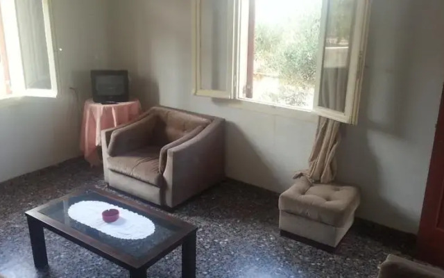 Terzakis Studios