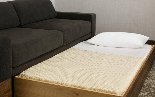 SpringHill Suites Belmont Redwood Shores