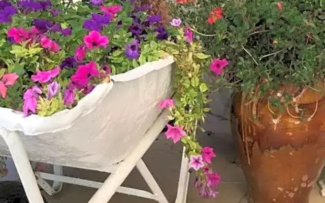 B&B la stella