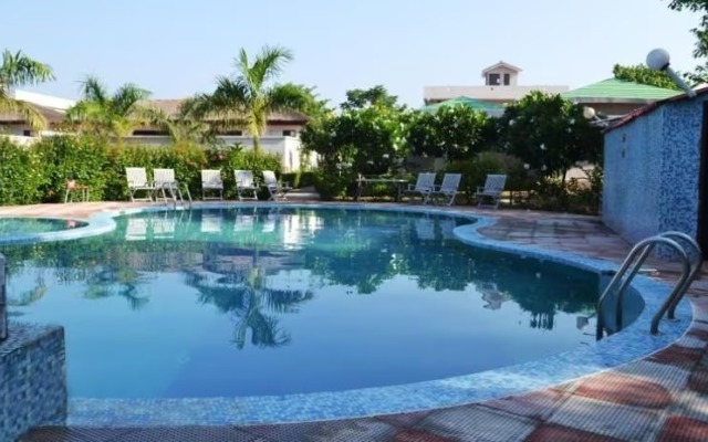 Corbett Amazon Crown