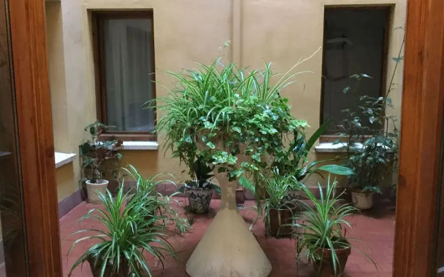 Hostal Café Español