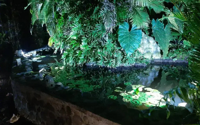 Les Gîtes de la Lézarde