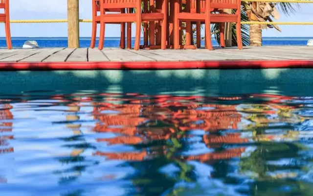 Funky Fish Beach & Surf Resort - Hostel