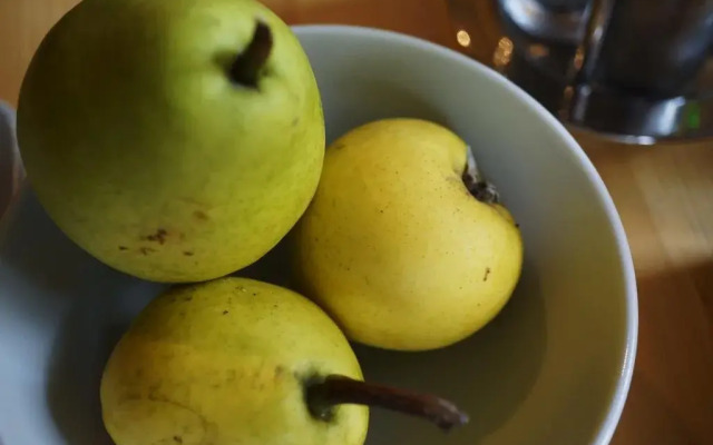 Weingut Zuschmann-Schöfmann